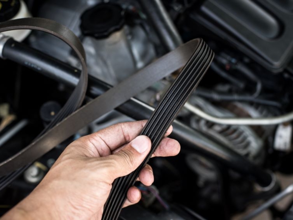 qué es la correa de distribución